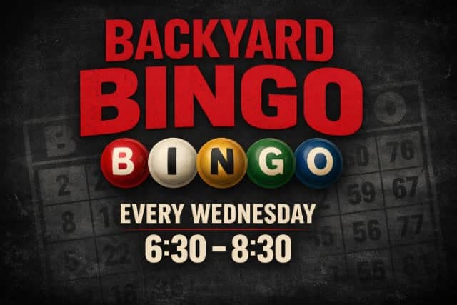 bingo Bingo